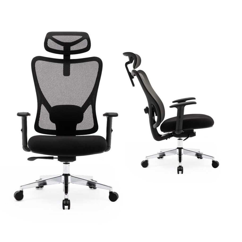 Duramont Ergonomic Chair